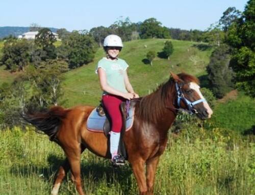 Summer Horse Riding Fun