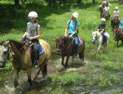 Horse Riding Trails