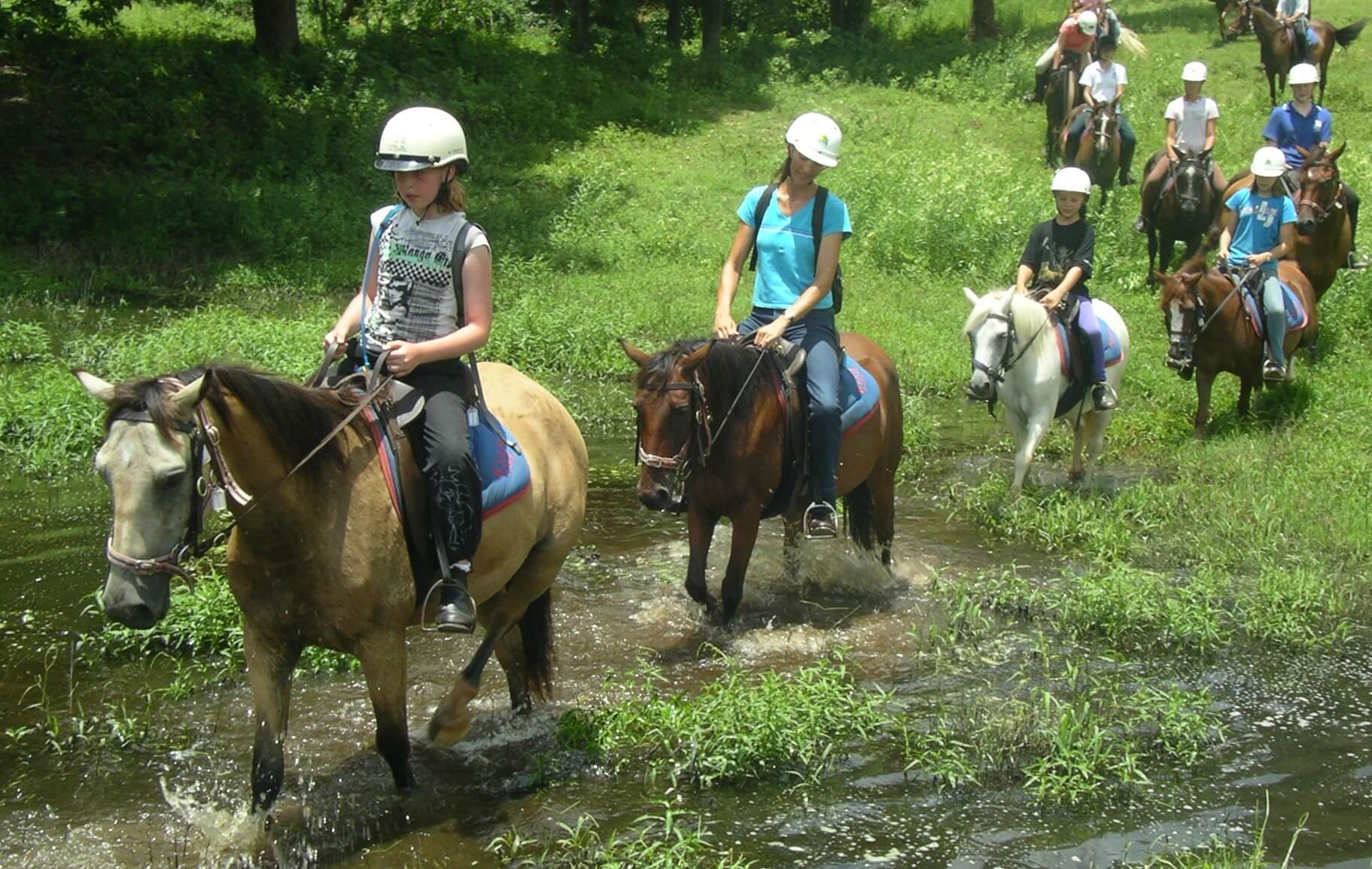 Horse Riding Trails.